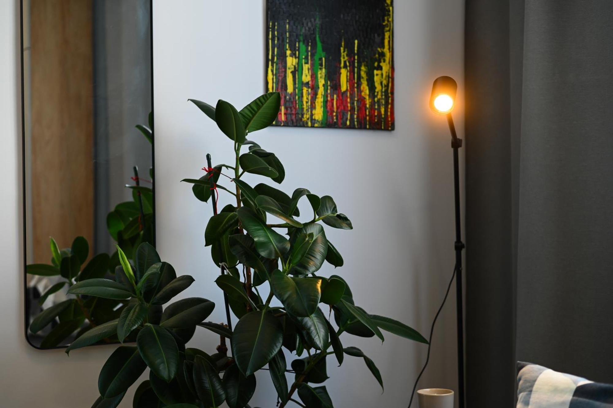 City Center Studio - Comfy & Modern Bratislava Exterior photo